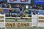 Spruce-9-11-14-CANA-3909-KentFarrington-Uceko-USA-DDeRosaPhoto