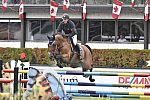 Spruce-Tourmaline-9-12-14-5431-PieterDevos-EchoD-BEL-DDeRosaPhoto