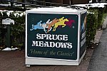 Spruce-9-9-14-1662-DDeRosaPhoto