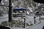 Spruce-9-9-14-1676-DDeRosaPhoto