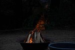 TRIFF-10-08-2021-4721-DDeRosaPhoto