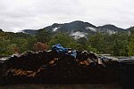 TRIFF-10-08-2021-4765-DDeRosaPhoto