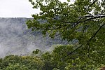 TRIFF-10-08-2021-4782-DDeRosaPhoto