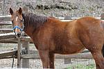 Property-4-4-09-18-DDeRosaPhoto