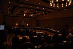 352-USEF-1-12-08-DDeRosaPhoto.jpg