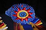 1-15-09-USEFConvention-044-DeRosaPhoto.jpg