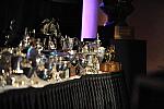 1-16-09-USEFConvention-079-DeRosaPhoto.jpg