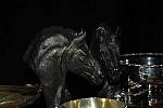 1-16-09-USEFConvention-120-DeRosaPhoto.jpg