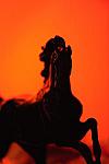 USEF-1-15-10-322-DDeRosaPhoto.jpg