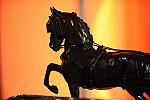 USEF-1-15-10-352-DDeRosaPhoto.jpg