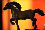 USEF-1-15-10-355-DDeRosaPhoto.jpg