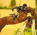 JenniferAlfano-USHJA-Derby-8-20-10-DER_8884-QRnd1-Extraordinary-DDeRosaPhoto.jpg