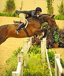 JenniferAlfano-USHJA-Derby-8-20-10-DER_8897-QRnd1-Extraordinary-DDeRosaPhoto.jpg
