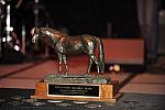 USEF-1-20-11-246-DDeRosaPhoto.jpg