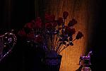 USEF-1-22-11-970-DDeRosaPhoto.jpg