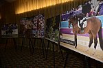 USEF-1-18-19-2013-8909-DDeRosaPhoto