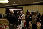 USEF-1-18-19-2013-8914-DDeRosaPhoto