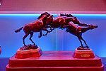USEF-1-10-14-Pegasus-6403-DDeRosaPhoto