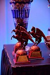 USEF-1-10-14-Pegasus-6422-DDeRosaPhoto