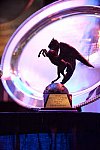 USEF-1-10-14-Pegasus-6440-DDeRosaPhoto