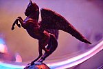 USEF-1-10-14-Pegasus-6442-DDeRosaPhoto