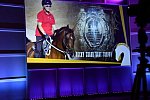 USEF-1-10-14-Pegasus-6741-DDeRosaPhoto