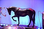 USEF-1-11-14-7000-DDeRosaPhoto