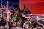 USEF-1-11-14-7036-DDeRosaPhoto