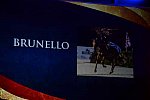 USEF-1-11-14-7310-DDeRosaPhoto