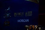 USEF-1-11-14-7318-DDeRosaPhoto