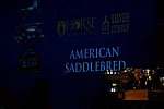 USEF-1-11-14-7347-DDeRosaPhoto