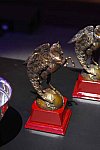 USEF-1-15-2016-1736-DDeRosaPhoto