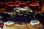 USEF-1-15-2016-1753-DDeRosaPhoto
