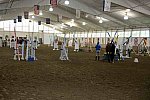 USHJA-EAP-7-12-18-0802-DDeRosaPhoto