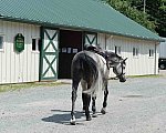 EAP-6-27-19-7258-Alicia Weismann-DDeRosaPhoto