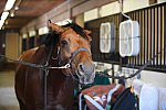 EAP-6-27-19-1255-Julianna Empie-DDeRosaPhoto