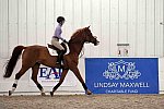 EAP-6-27-19-0502-DDeRosaPhoto