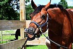 EAP-6-27-19-1170-DDeRosaPhoto