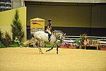 USHJA-Derby-8-19-10-Schooling-DER_6786-DDeRosaPhoto.JPG