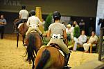 USHJA-Derby-8-19-10-Schooling-DER_6802-DDeRosaPhoto.JPG
