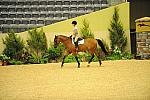 USHJA-Derby-8-19-10-Schooling-DER_6804-DDeRosaPhoto.JPG