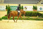 USHJA-Derby-8-20-10-DER_7541-QRnd1-DueWest-ShaneSweetnam-DDeRosaPhoto.jpg
