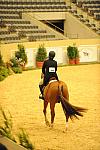 USHJA-Derby-8-20-10-DER_8060-QRnd1-SugarBoy-TammyProvost-DDeRosaPhoto.jpg