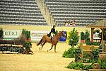 USHJA-Derby-8-20-10-DER_8076-QRnd1-SugarBoy-TammyProvost-DDeRosaPhoto.jpg
