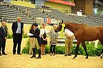 USHJA-Derby-8-20-10-DER_9093-QRnd1-Poetic-MaggieBoylan-DDeRosaPhoto.jpg