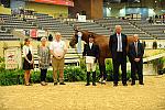 USHJA-Derby-8-20-10-DER_9116-QRnd1-NLFShakespeares-PeterPletcher-DDeRosaPhoto.jpg