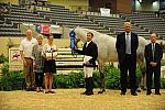 USHJA-Derby-8-20-10-DER_9179-QRnd1-SummerPlace-ScottStewart-DDeRosaPhoto.jpg