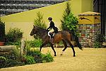 USHJA-Derby-8-21-10-CrseWk-Parade-DER_9396-RockStar-LouiseSerio-DDeRosaPhoto.jpg