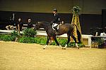 USHJA-Derby-8-21-10-CrseWk-Parade-DER_9414-DDeRosaPhoto.jpg