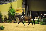 USHJA-Derby-8-21-10-CrseWk-Parade-DER_9415-DDeRosaPhoto.jpg